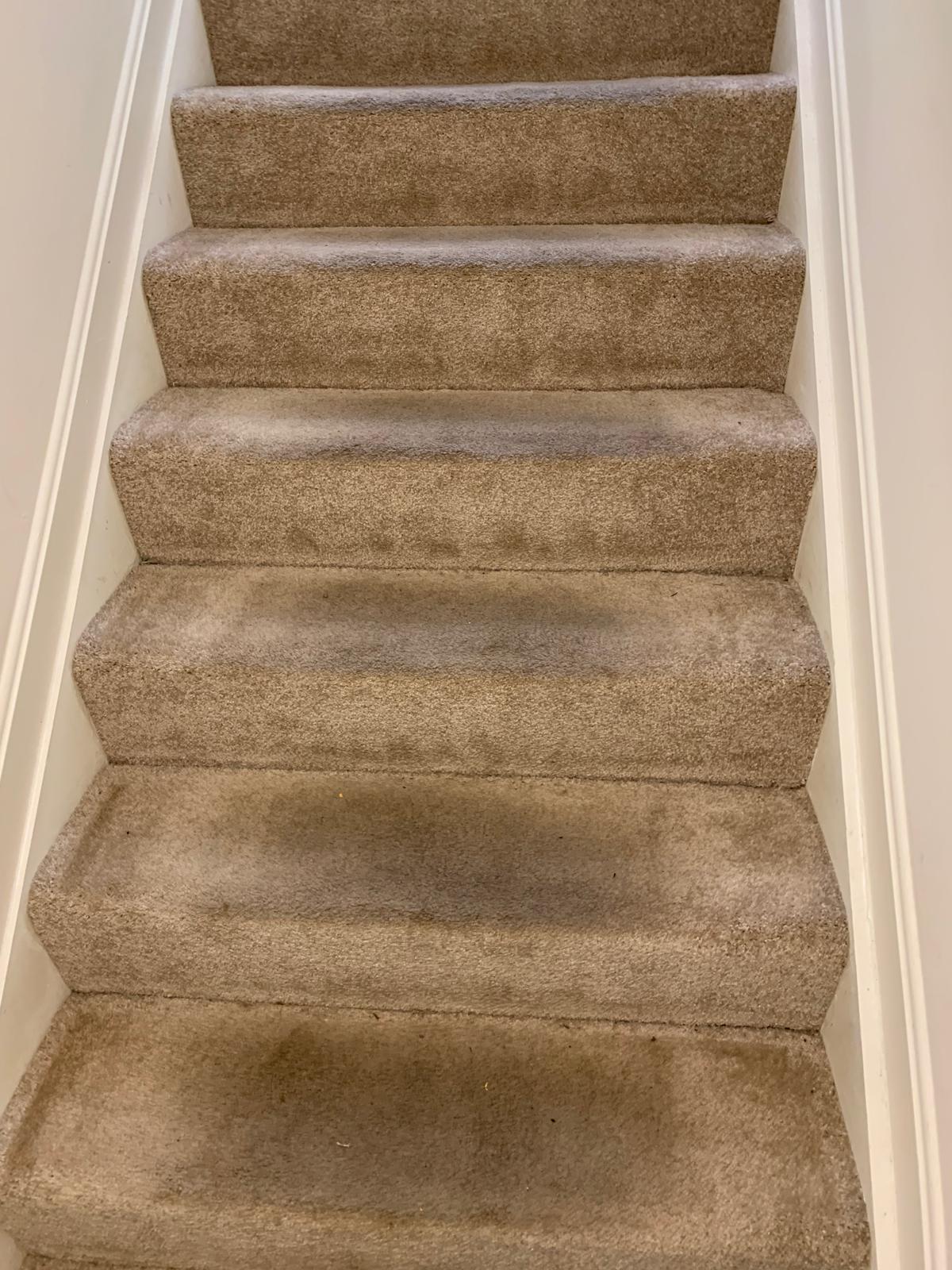 Office carpet before and after deep cleaning