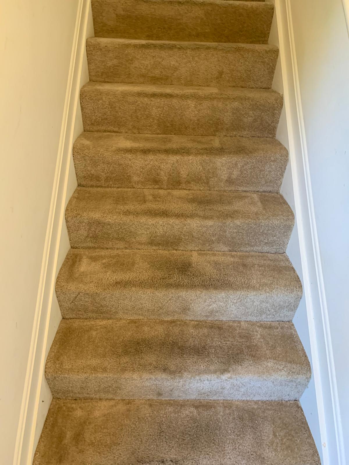 Hallway carpet restored after stain and traffic lane removal