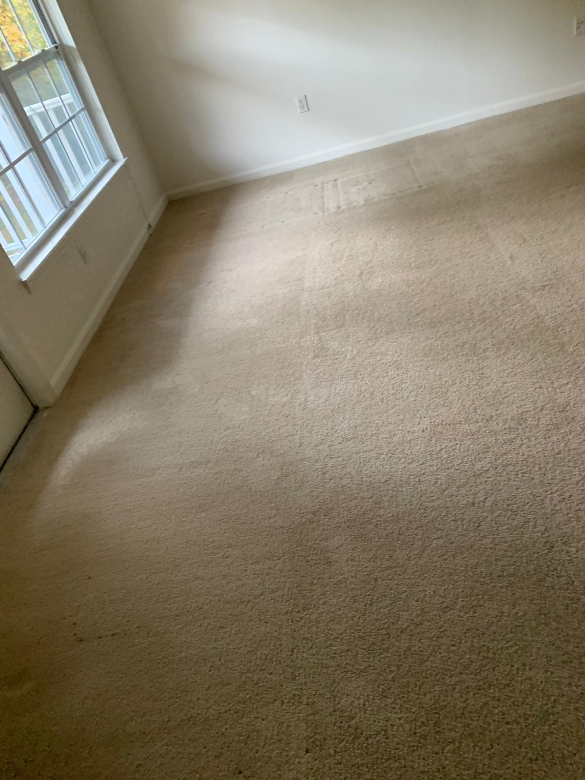 Professional carpet cleaning with extraction equipment