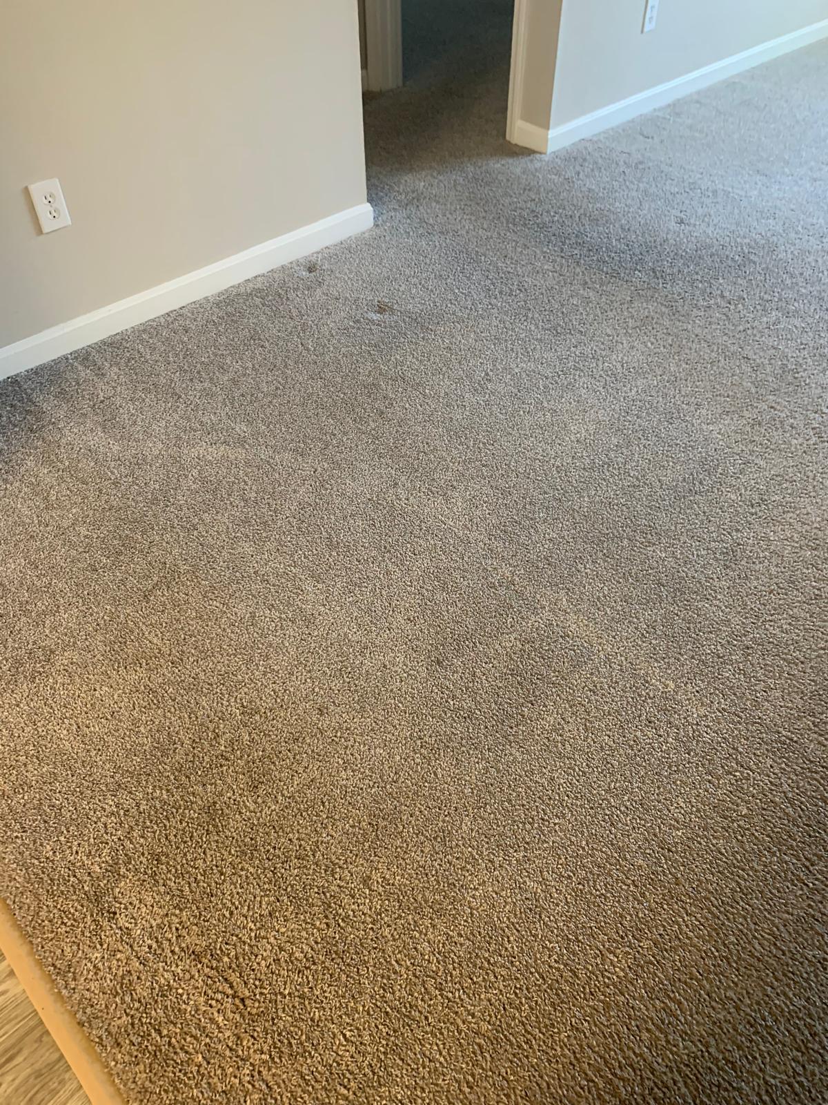 Clinical medical facility cleaning