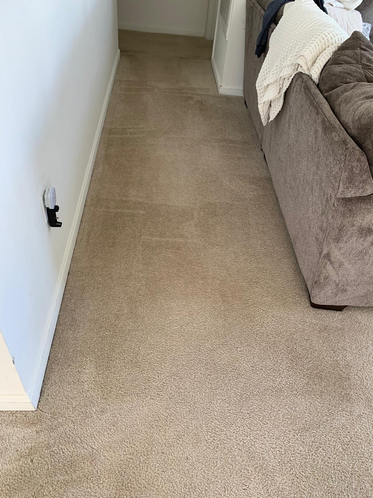 Clinical medical facility cleaning